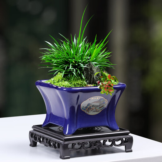 Yuxuantang Chinese ink style ceramic retro flower pot household desktop succulent pots Wenzhu June snow Clivia landscape pot YYX1429 with base