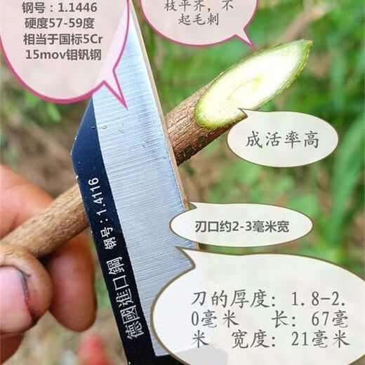 进口德国进口钢14116高硬度嫁接刀专用可折叠芽接刀 双刃左右手通用 德国进口钢1.4116韧性好