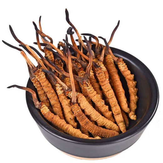 Verwenden Sie auf dem inneren Hof die gleiche Qualität, gebrochene Cordyceps und Hay Cordyceps und Sommergras, um Suppe und Wein für eine spezielle Behandlung zu machen. Yushu 10g