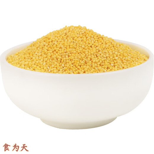 People's Food Shaanxi Yulin Rice Fat Millet Millet Millet Millet Millet Millet Millet Millet Millet Millet Millet Millet Millet Millet Millet Millet Millet Millet Millet Millet Millet Millet Millet Millet Millet Millet Millet Millet Millet Millet Millet Millet Millet Millet Millet Millet Millet Millet Millet Millet Millet Millet Millet Millet Millet Millet Millet Millet Millet Millet Millet Millet Millet Millet Millet Millet Millet Millet Millet Millet Millet Millet Millet Millet Millet Millet Millet Millet Millet Millet Millet Millet Millet Millet Millet Millet Millet Millet Millet Millet Millet Mi