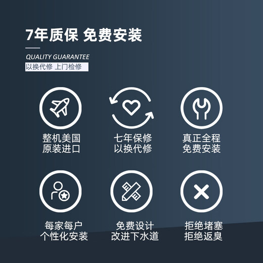 Bagan E300 high-end kitchen food waste disposer brand new InSinkE300