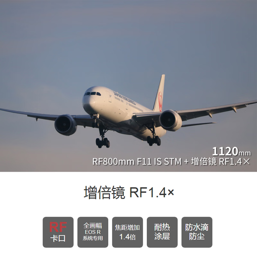 Canon RF1.4X RF Mount Bird Shooting Lens Teleconverter Extender Suitable for RF100-500mm Lens