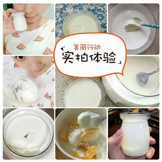 魔桔智能酸奶机家用全自动玻璃内胆恒温定时发酵米酒纳豆魔桔 智能款酸奶机套餐3