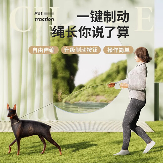 HOUYA dog leash automatic retractable dog leash small dogs puppies cats pets