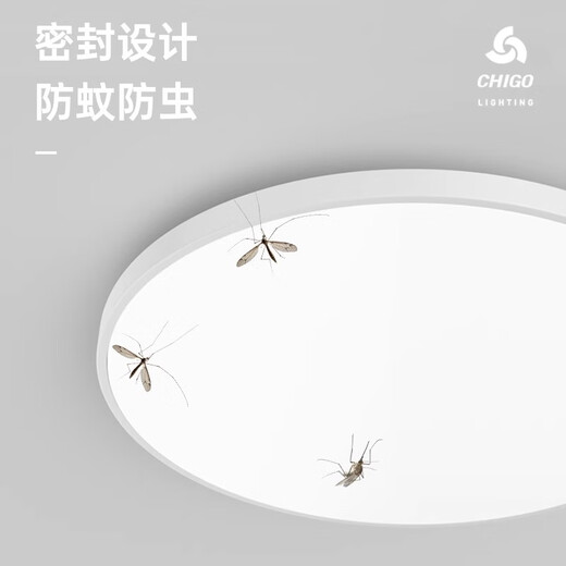 Fanyao led voice-controlled sensor light ultra-thin three-proof ceiling-mounted lamp stair aisle corridor corridor light smart light 24W-voice control sensor