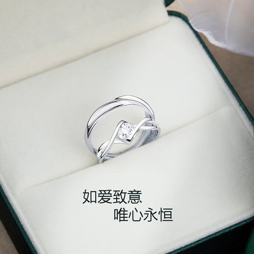 MZMZ Platinum Ring Eternal Couple Ring Pt950 Platinum Engagement Wedding Birthday Anniversary Gift for Girlfriend Light Luxury Style - Eternal Couple Ring