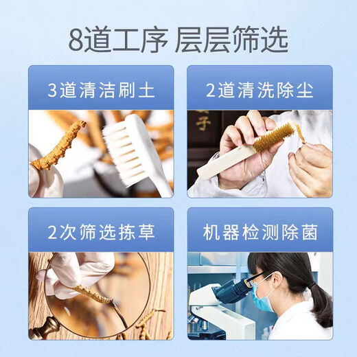 Wazang genuino Cordyceps Cordyceps Box en futuros de cabeza Cordyceps Cordyceps Cordyceps Altitud 5 raíces/g 1 gramo