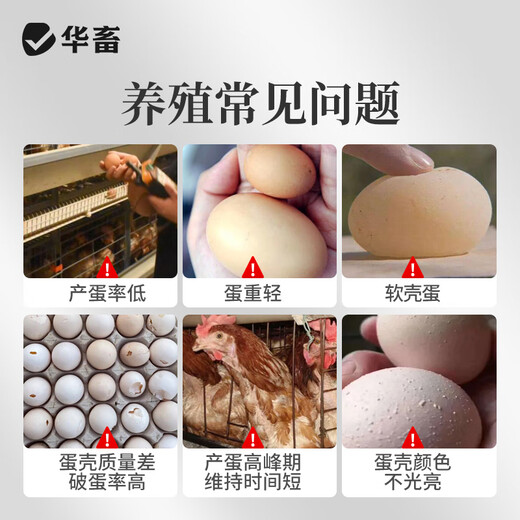 Huazhu 5% laying hen feed premix Egg Youbao multi-cycle long egg production special compound premixed feed 1 bag Egg Youbao 50 Jin Jin is equal to 0.5 kg