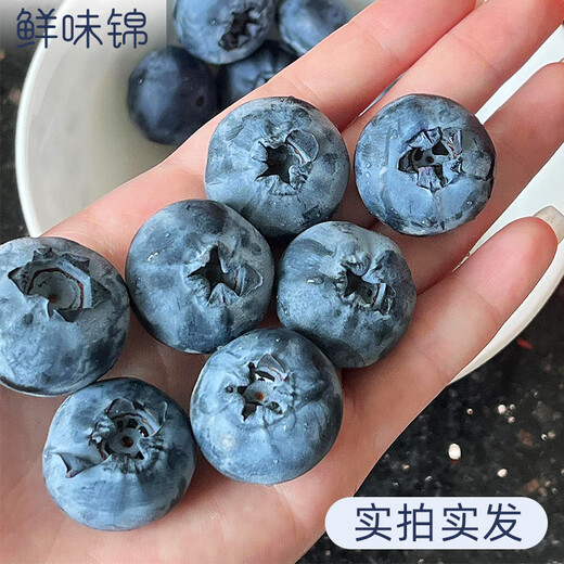 蓝莓鲜果新鲜高端水果当季蓝梅云高山怡颗南孕妇整箱包邮顺丰 2盒 顺丰大果1518mm吃货当选