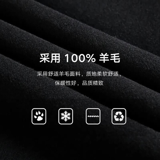 Fazeya恒源祥纯羊毛夹克男毛呢外套男士短款休闲翻领加棉加厚派克 黑色 170