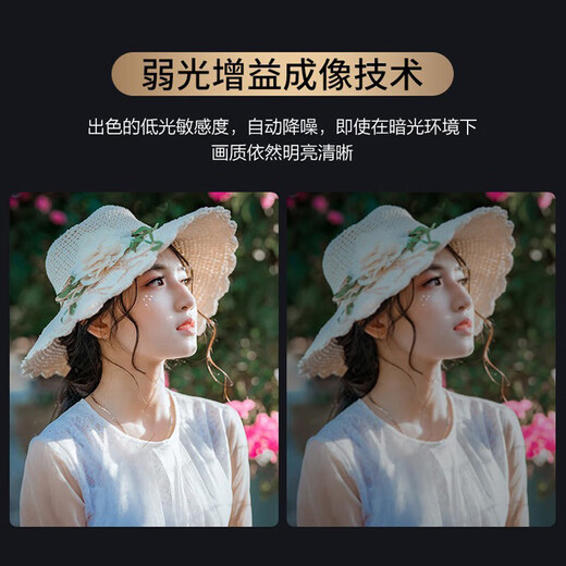 Stiger computer camera HD with microphone video call conference online class dedicated notebook desktop live broadcast home teaching USB external camera driver-free 1080P