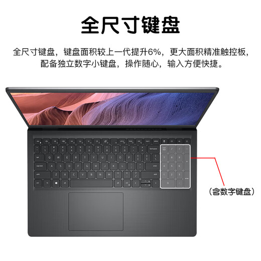 戴尔（DELL）灵越15Pro 15.6英寸酷睿i5笔记本成就3530大屏轻薄办公制图家用游戏学生便携带网口剪辑商务电脑 成就3520 i5-1135G7 UHD核显 【店长推荐】16G内存 512G