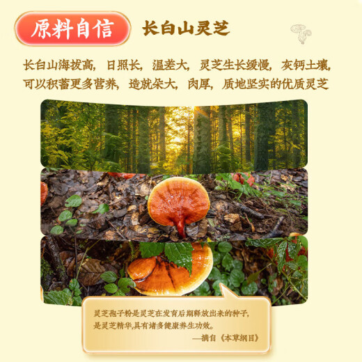 北京同仁堂破壁灵芝孢子粉 增强免疫力成人中老年人手术后恢复营养品灵芝粉 1盒 30g 【买2送1 到手3盒】