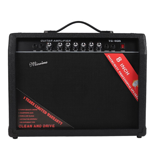 Minsine Guitar Speaker Folk Acoustic Guitar Playing Singing Bass Street Roadshow Outdoor Singing Portable Professional Audio Plug-in Version 40W (Double-use Bakelite)