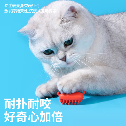 zeze猫玩具逗猫棒电动解闷猫猫玩具自动猫咪玩具自嗨小猫幼猫