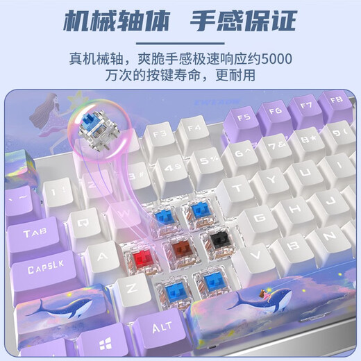 前行者 TK870鲸如紫水机械键盘87\/104键有线女生办公游戏电竞可爱小型电脑笔记本外接 白紫双拼-白光104键【多媒体旋钮-30种灯效】 通用茶轴