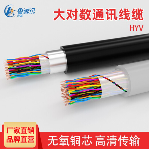Lu Chengxun 5 pairs 10 pairs 20 pairs 50 pairs 100 pairs large logarithmic communication cable HYA twisted pair cable outdoor communication category 3 telephone line pure copper voice communication outdoor 30*2*0.5 copper core twisted pair 1 meter