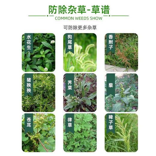 One-seven hoe 41% glyphosate isopropylamine salt weed killer orchard weed dead root killer glyphosate pesticide herbicide 5kg