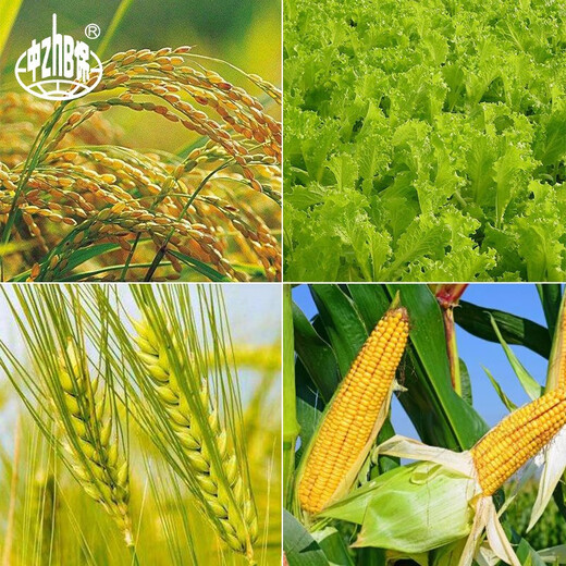 YD-120 Yunda 120 brassinolide 0.004% growth regulator 1000ml