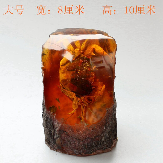 Swiss artificial amber crab specimen resin crafts real insect animal raw stone fossil insect amber ornaments picture color