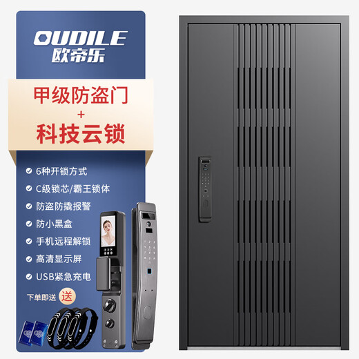 欧帝乐（OUDILE）新款通风4级防盗门入户门+透气门窗隐藏加高安全门+指纹智能锁 科技云锁 2150*1050/2250*960