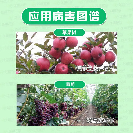 Guoguangshenghe 20% Naphthalene Acetic Acid Rooting Powder Plant Flowers Succulent Tree Cuttings Hairy Root Transplanting Rooting Agent 2.5g (Guoguangshenghe)