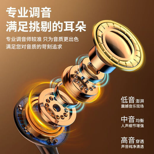 Huiyue 2024 new mobile phone wireless live sound card built-in microphone with goods jingle singing and karaoke support hanging neck outdoor portable with Bluetooth accompaniment with vibrato complete set of three-plug 020 upgraded version (headphones + receiver + remote control) complete set