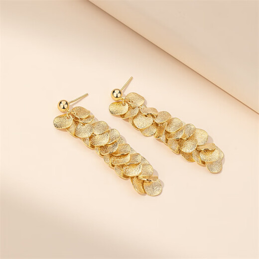 Qlady metal temperament niche tassel unique earrings for women 2025 new high-end silver earrings women's earrings earrings gift