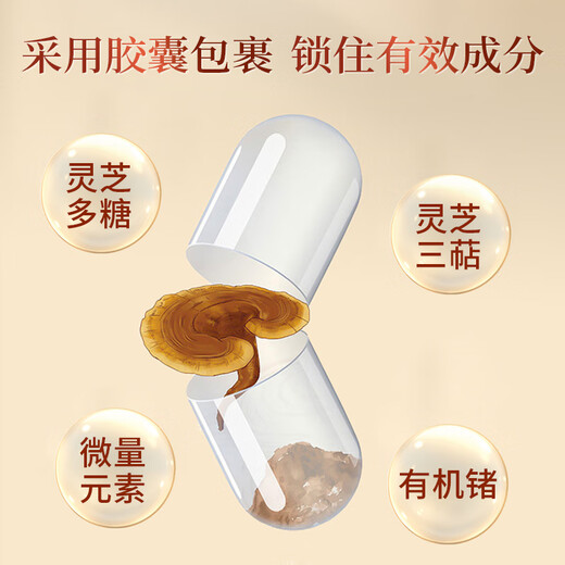 KOBL Ganoderma lucidum spore powder capsule 120 Japanese high-wall-breaking rate Ganoderma lucidum spore oil weak and sickly postoperative chemotherapy [1 bottle of freshly tried] Ganoderma lucidum spore powder