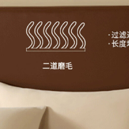 佤歌莉娜客厅地毯感奶油风加厚隔音沙发茶几垫免打理地毯客厅房间防滑 泽洋-9926 300*400cm