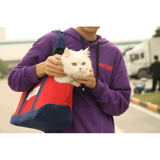 日本道格便携外出宠物背包猫包狗包泰迪外带包袋子手提拎包 蓝色包包 均码