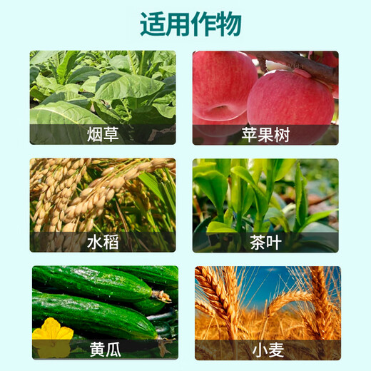 Bihu 0.136% red indigo brassica German imported vegetable and flower plant growth regulator 2g*1 bag