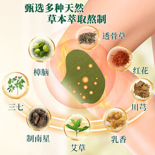 Tong Ren Tang Beifuß-Kniepflaster, gesundes Moxibustionspflaster, Kniegelenk-Beifuß-Patch, 12 Pflaster/Box