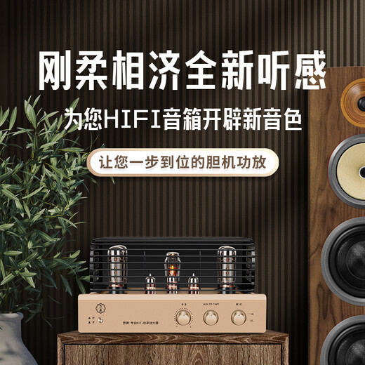 Youtang MK8700 Amplificador puro Amplificador Fiebre Grado Hifi Alta fidelidad Alta potencia