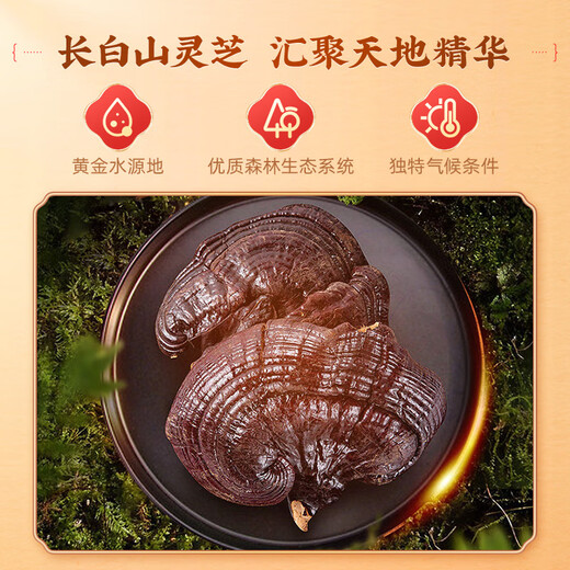 雷允上 破壁灵芝孢子粉礼盒长白山灵芝补气安神礼盒送父母礼物 【买1赠1】灵芝孢子粉礼盒*2盒