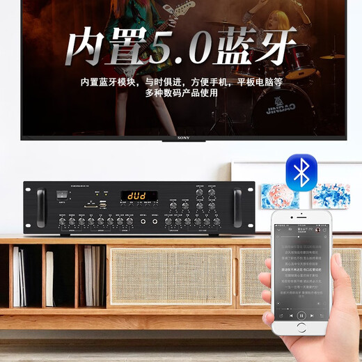 先科（SAST） 会议室KTV卡包功放机 家用大功率功放机蓝牙家庭定阻功放机5.1家庭影院音频放大器 AV-318(1200W)+8通道4分区