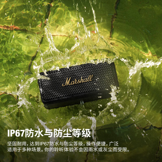 Home Bluetooth sans fil MARSHALL EMBERTON II II