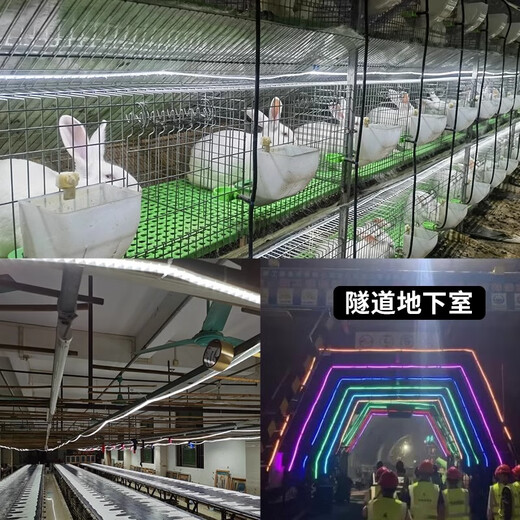 Fanyao Super Bright LED Light Strip Outdoor Waterproof Sun Protection Engineering Lighting Indoor Ceiling 52 Beads/M-White Light-100 Meters