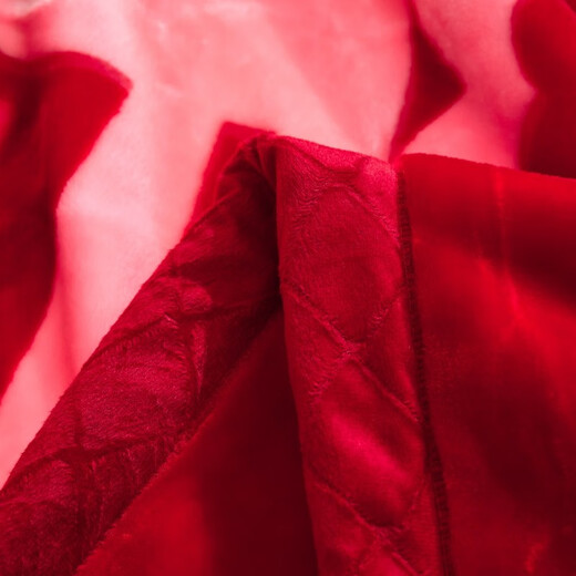Nanjiren Big Red Wedding Celebration Blanket Double Layer Thickened 10 Jin Jin is equal to 0.5 kg Autumn and Winter Blanket Raschel Wedding Blanket Double Large Quilt Dowry Gift CC-655 Big Red (Double Happiness) Double Layer Thick Blanket 200*230cm About 10 Jin Jin is equal to 0.5 kg