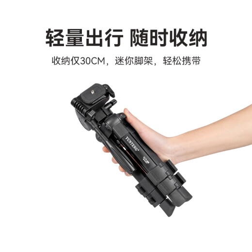 云腾608桌面三脚架单反相机手机通用小巧支架直播vlog旅行爬楼户外微距摄影小型便携三角架横竖可调款 608三脚架【送手机夹】