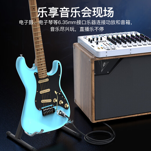 秋叶原（CHOSEAL）发烧级6.5mm转双6.5单晶铜音频线 6.35一分二 音响箱麦克风吉他调音台功放连接 1米 QS9913T1