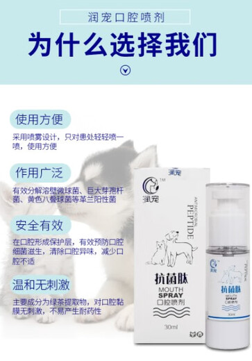 Antimicrobial peptide oral spray for pet dogs with inflamed teeth, red and swollen cat gums, cat stomatitis and cracked palate 30ml