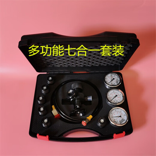 Iwanashi Accumulator Charging Tool FPU-25/40MPA Olaer 6-in-1 Nitrogen Charging Tool 6-in-1 Set (Hardcover)