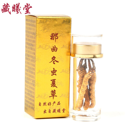 Zangxitang Naqu Cordyceps sinensis, tibetanische Naqu Cordyceps sinensis, Geschenkbox, Cordyceps sinensis 3 1 Gramm 10 Gramm