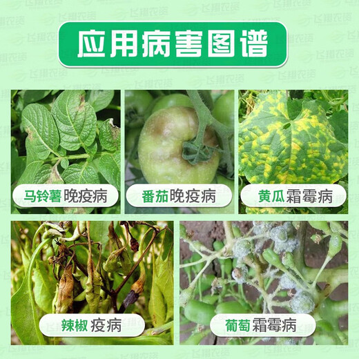 Corteva DuPont Zengwei Win Green + eBao late blight downy mildew fungicide 30ml Yibao 30g*5 120g (Zengwei 30ml+ebao 30g*3 bags)