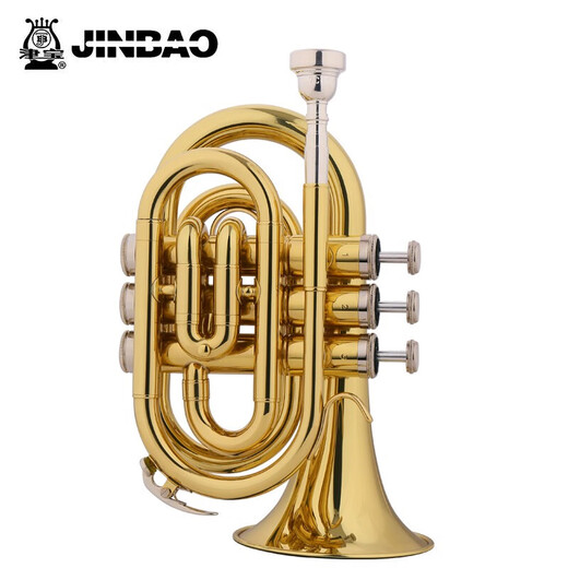 Jinbao Jinbao JBMT-500 B-Flat Palm Number Instrument Anfänger Spielen GOLD Western Windinstrument Jinbao JBMT-500 B-Flat Palm Nummer