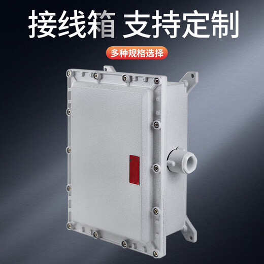 Explosion-proof distribution box BXJ explosion-proof wiring empty box instrument power supply control shell maintenance power 300300150 explosion-proof type