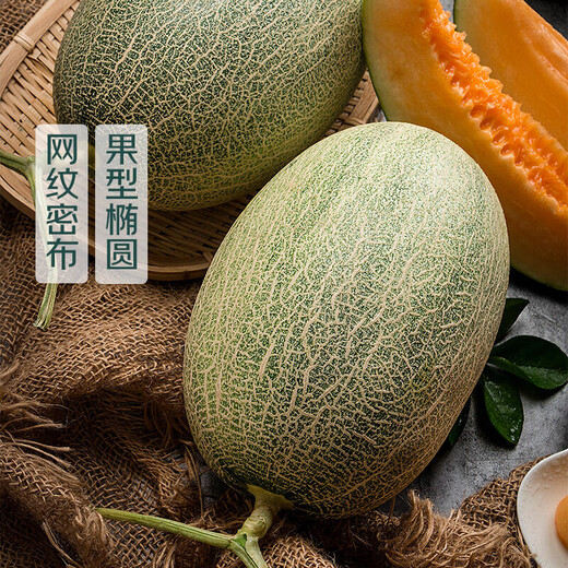 Directly sourced from the origin, Hainan Xizhou honeydew melon single piece 1.6kg