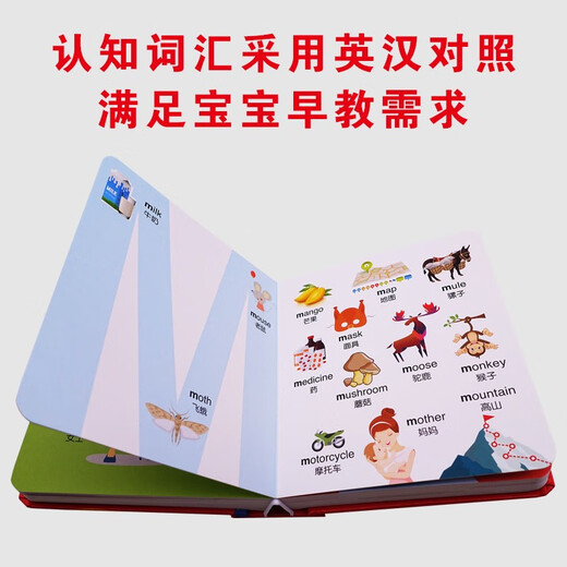 【京仓速发全新正版】幼儿双语启蒙认知书：神奇的字母蒋庆利吉林出版集团