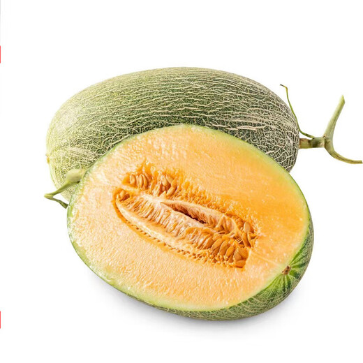 North latitude 23 Xizhou honeydew melon about 1.3kg